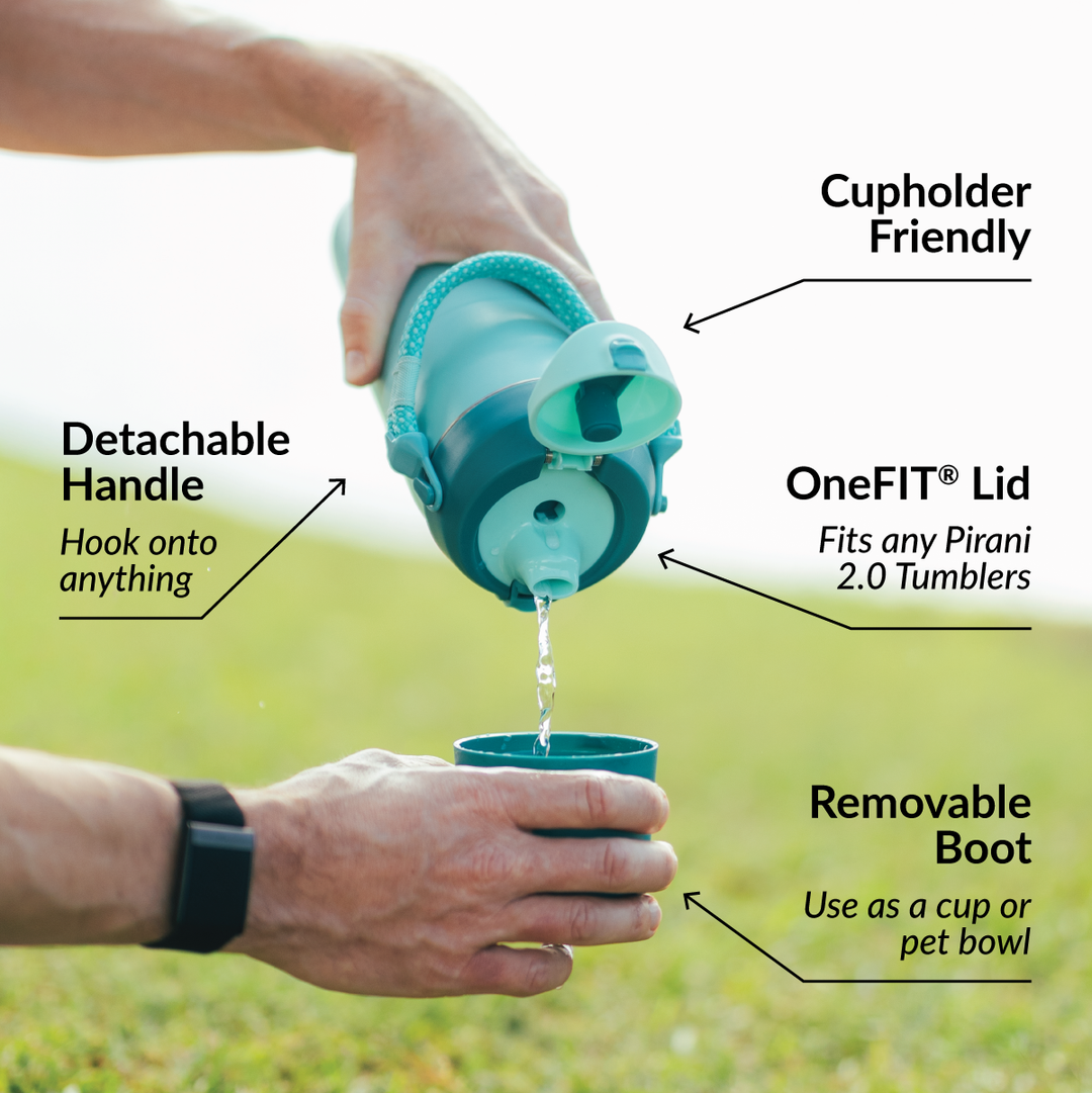 32oz Companion Bottle - Callout#color_paradise